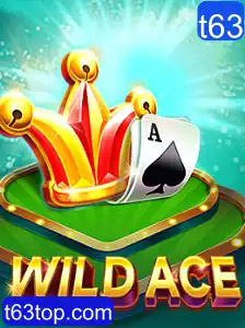 Descubra o Fascinante Mundo de WildAce: Um Guia Completo sobre Jogabilidade e Regras